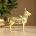 Brass Nandi Statue 9.3Kg